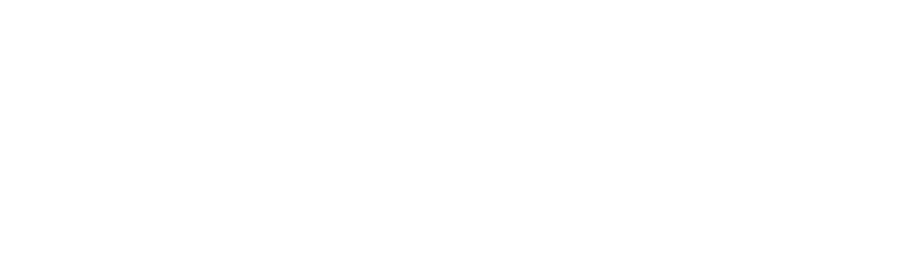 Four Symmetrons